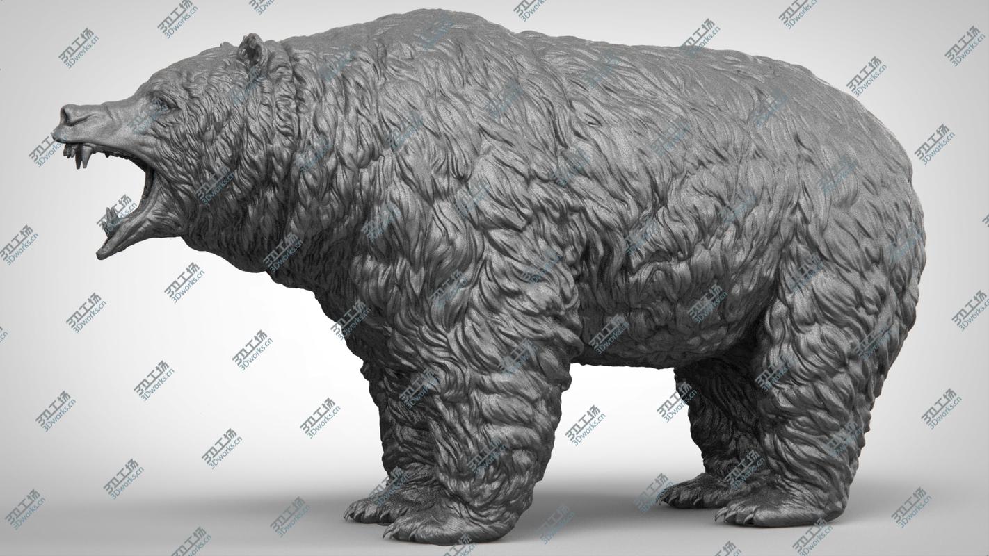 images/goods_img/202104094/Bear Realistic 3D model/2.jpg